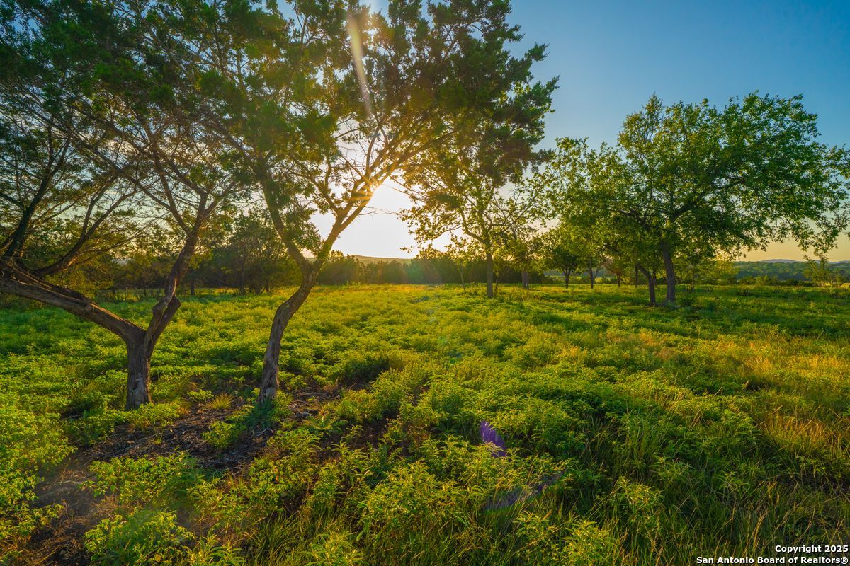 116 Majestic Oaks Drive Boerne TX 78006