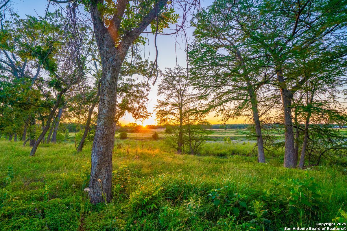 116 Majestic Oaks Drive Boerne TX 78006