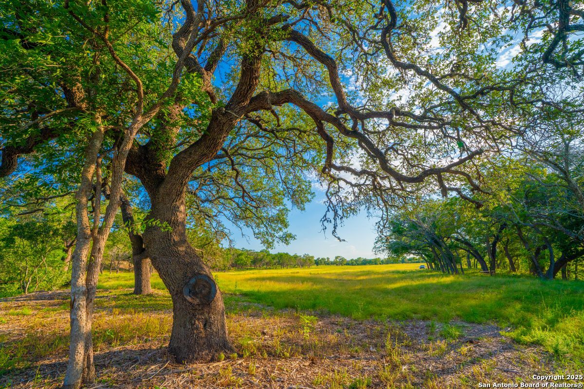116 Majestic Oaks Drive Boerne TX 78006