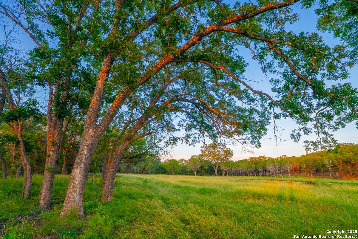 116 Majestic Oaks Drive Boerne TX 78006