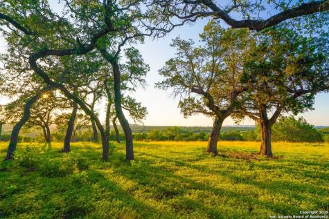 116 Majestic Oaks Drive Boerne TX 78006