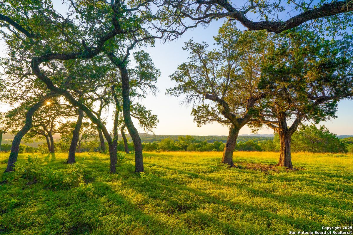 116 Majestic Oaks Drive Boerne TX 78006