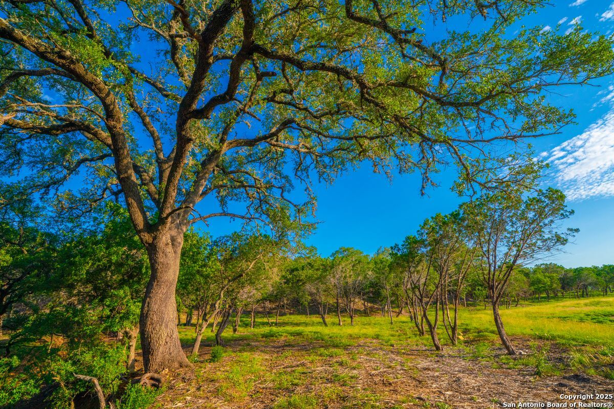 116 Majestic Oaks Drive Boerne TX 78006