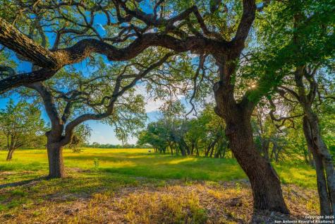 116 Majestic Oaks Drive Boerne TX 78006