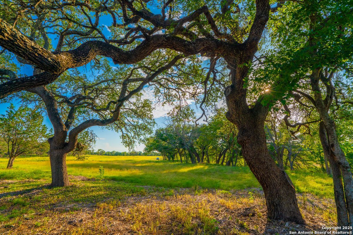 116 Majestic Oaks Drive Boerne TX 78006