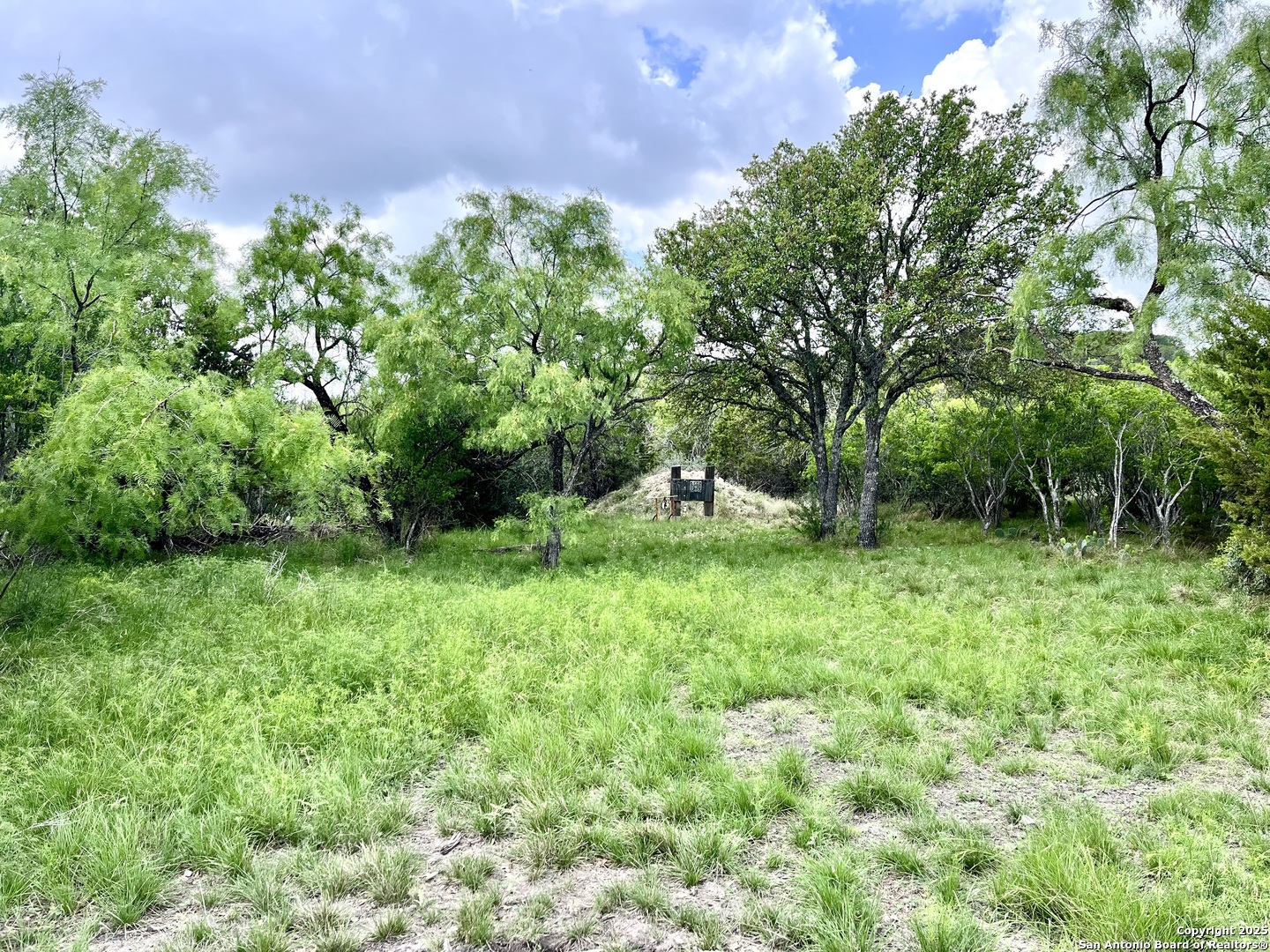 1446 Big Draw Drive Junction TX 76849