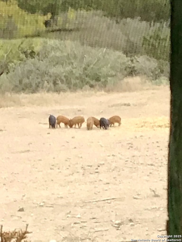 1446 Big Draw Drive Junction TX 76849