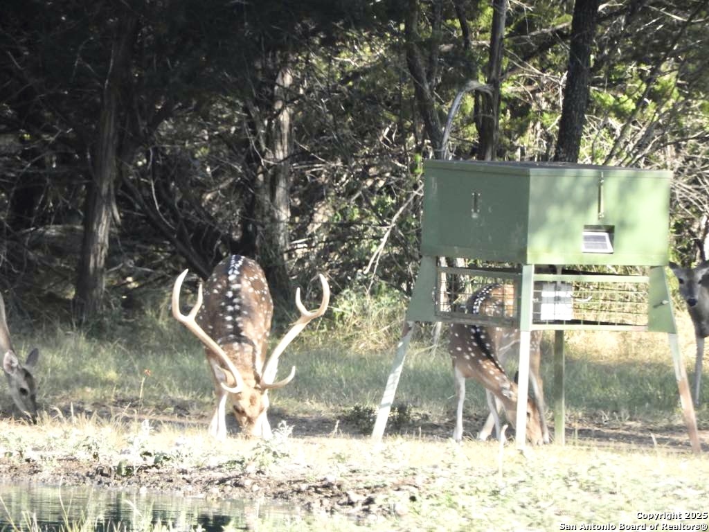 1446 Big Draw Drive Junction TX 76849