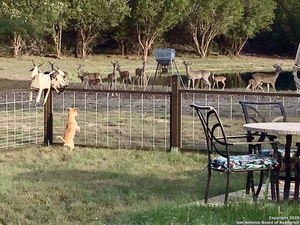 1446 Big Draw Drive Junction TX 76849