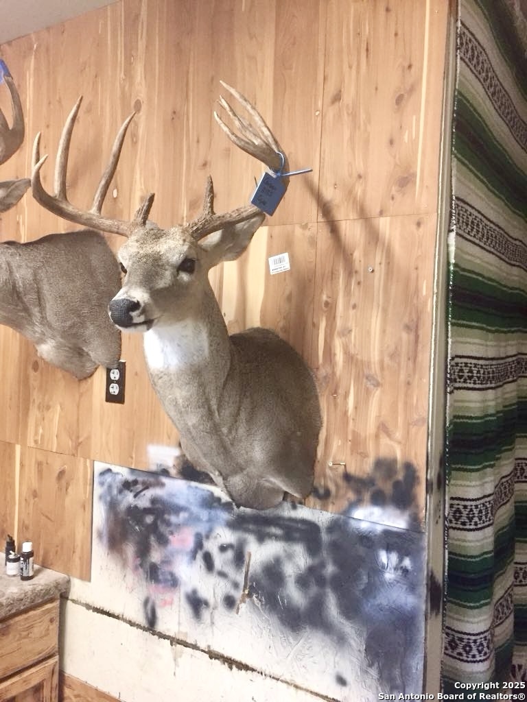 1446 Big Draw Drive Junction TX 76849