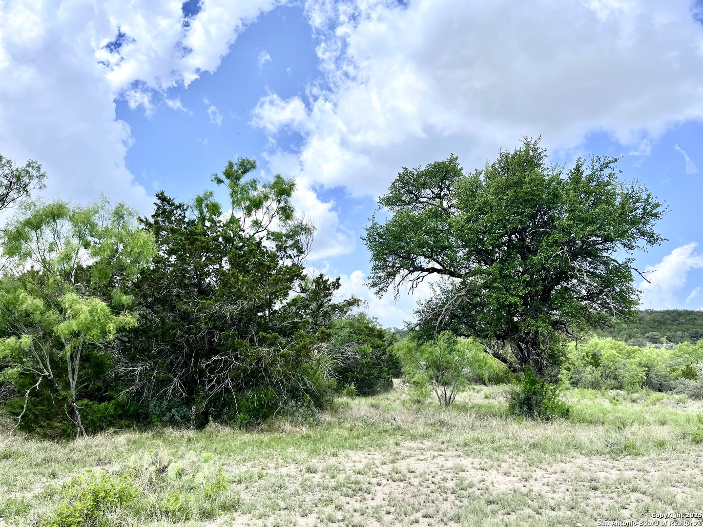 1446 Big Draw Drive Junction TX 76849