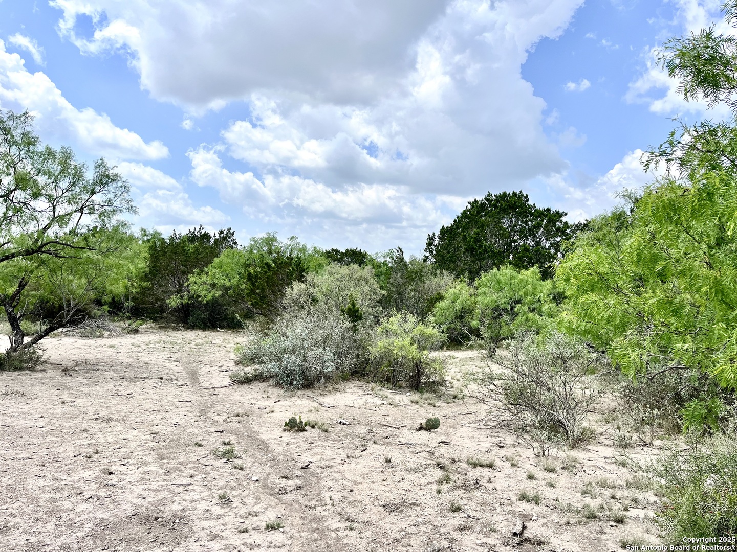 1446 Big Draw Drive Junction TX 76849