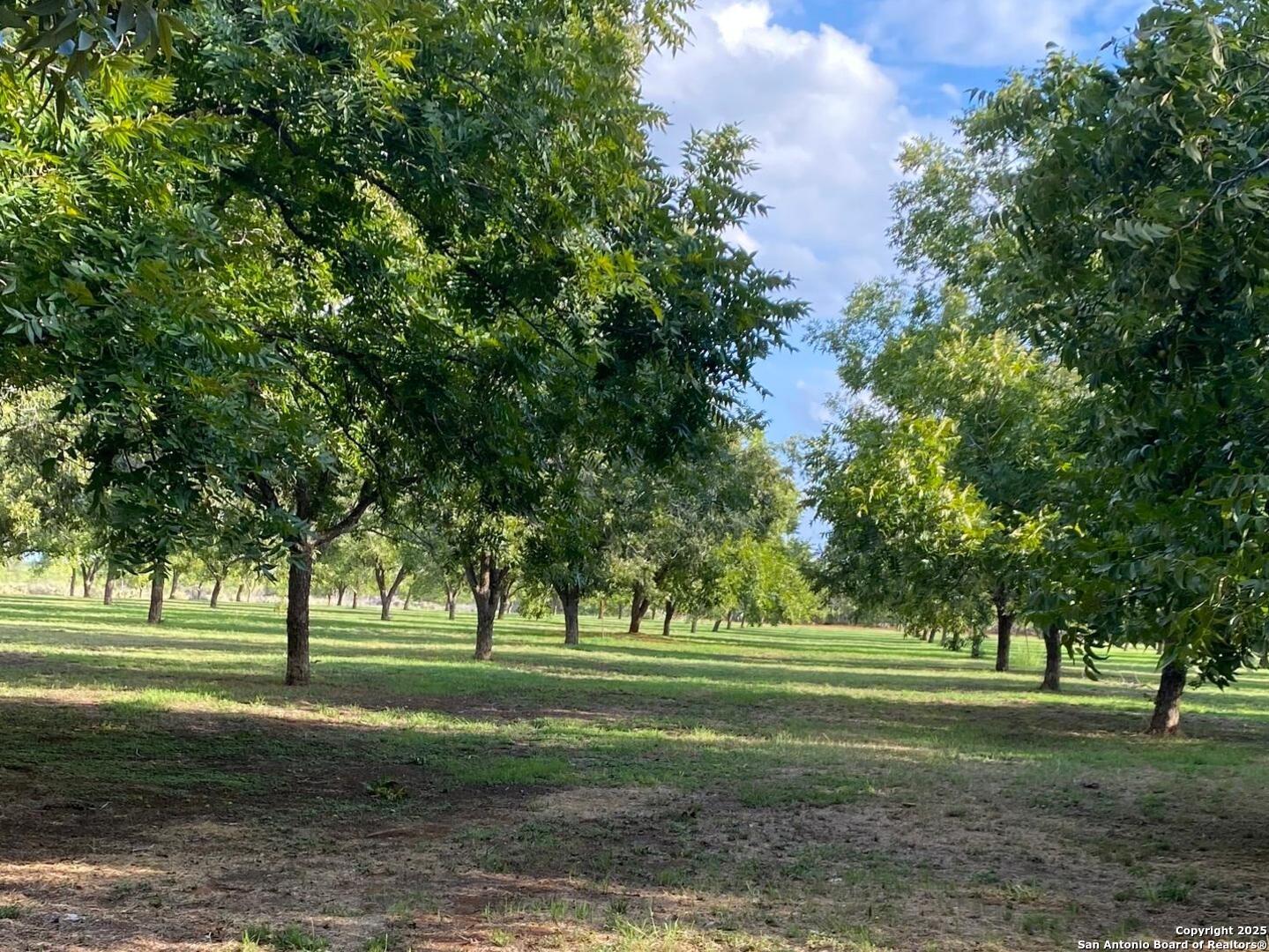 6 Collins Hill Road Lytle TX 78052