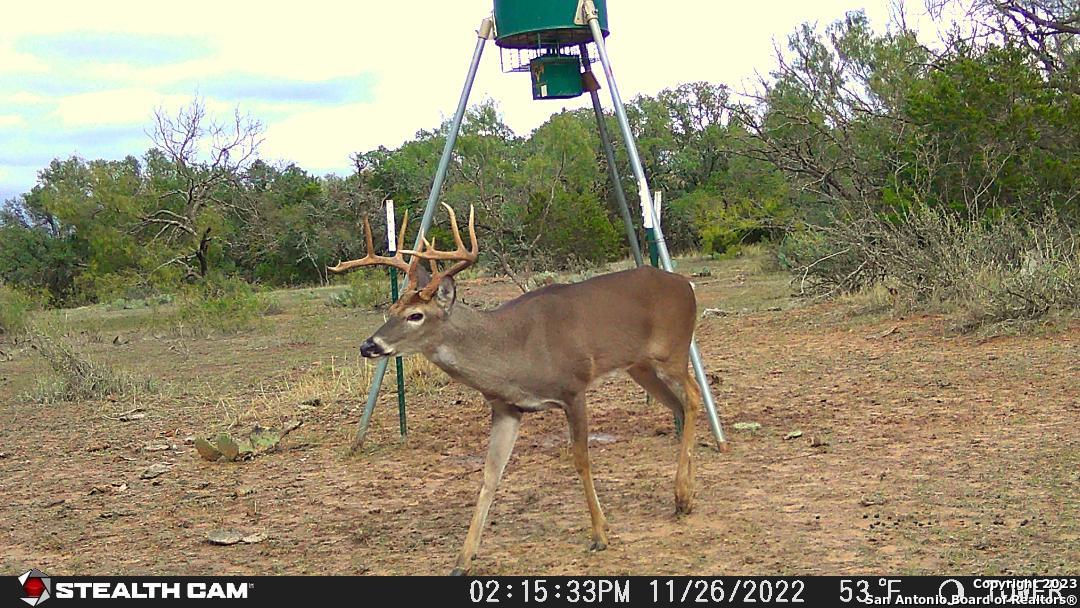000 Fm 573 Mullin TX 76864