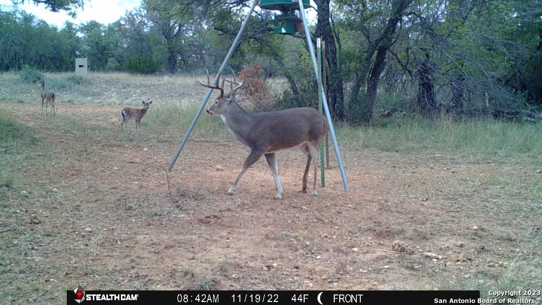 000 Fm 573 Mullin TX 76864