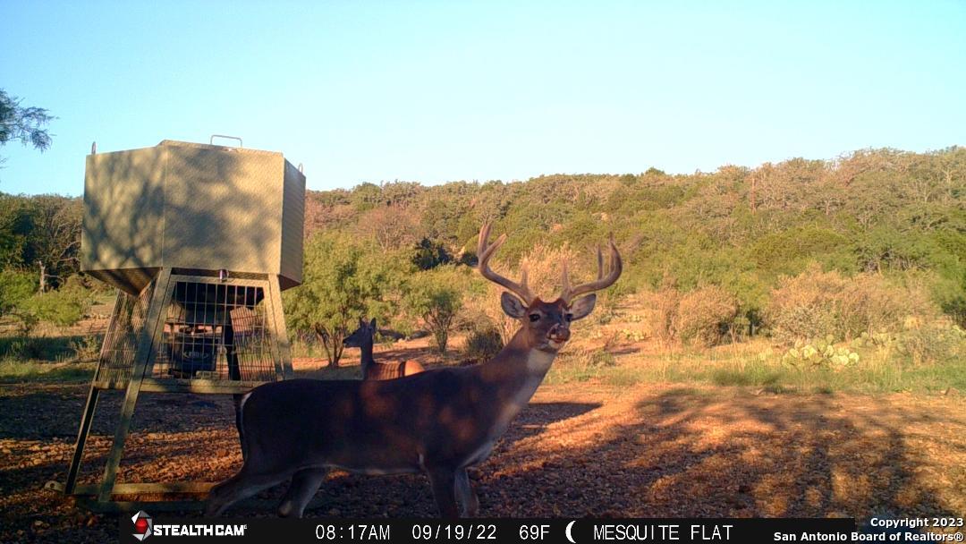 000 Fm 573 Mullin TX 76864