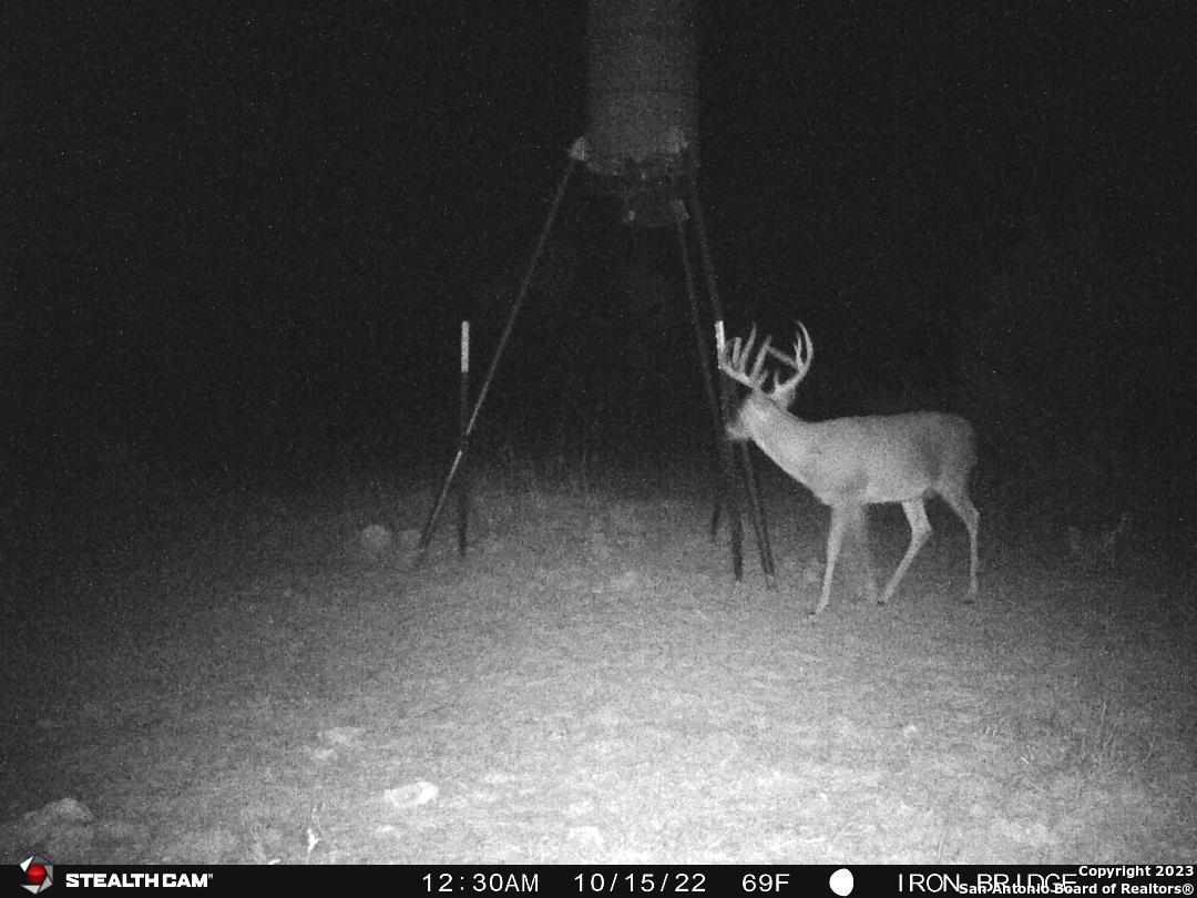 000 Fm 573 Mullin TX 76864