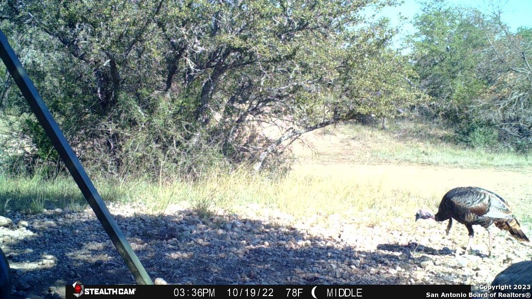 000 Fm 573 Mullin TX 76864