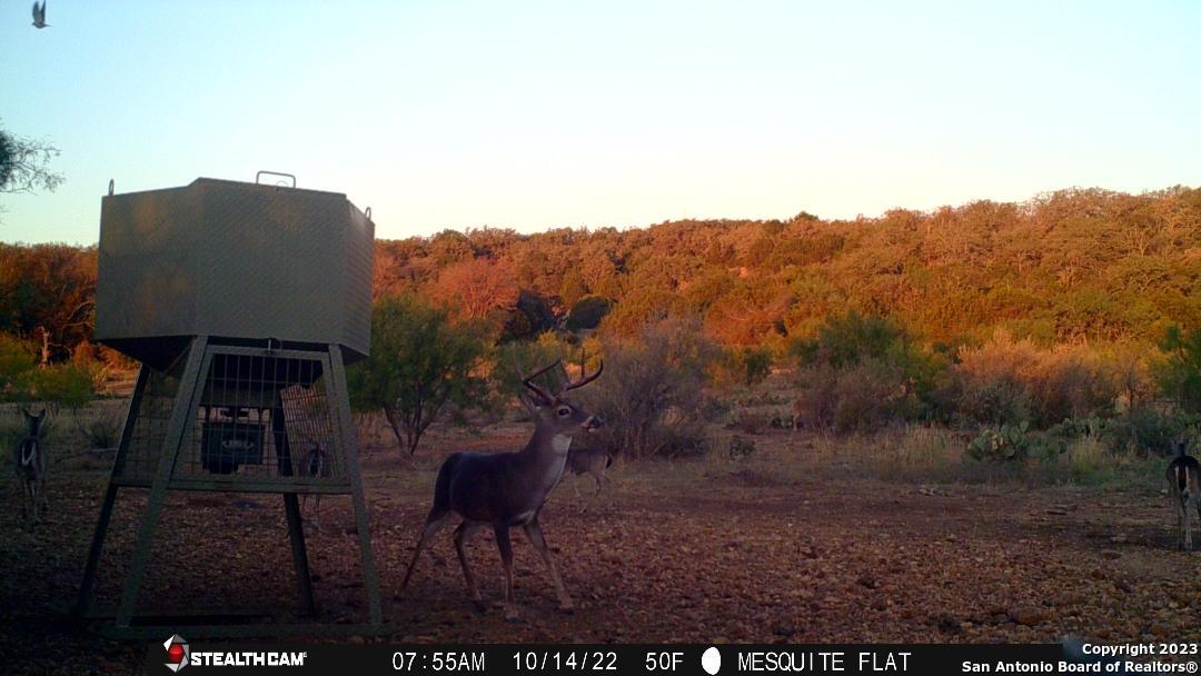 000 Fm 573 Mullin TX 76864