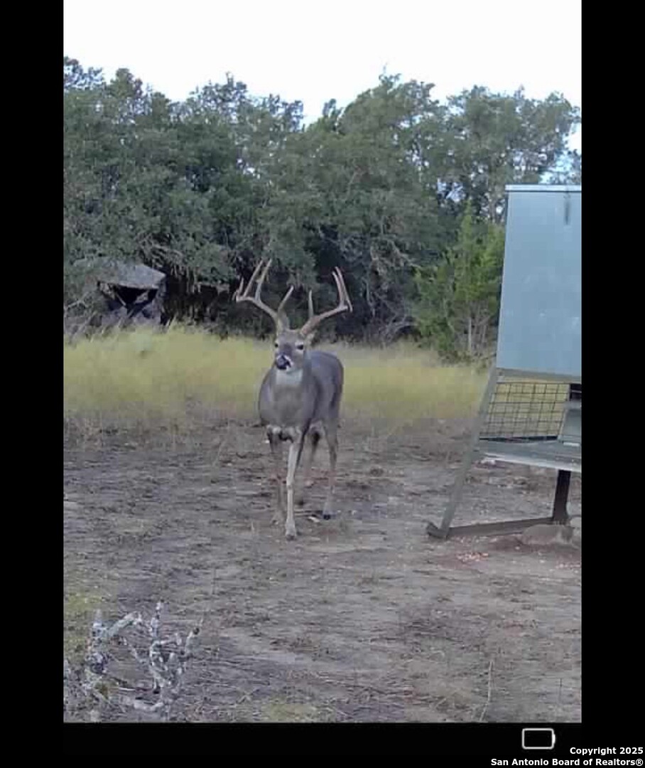 000 Fm 573 Mullin TX 76864