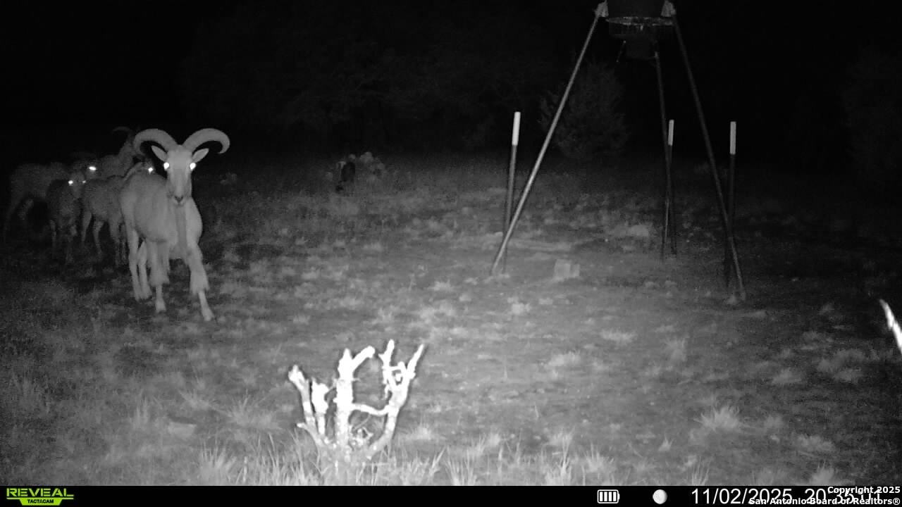 000 Fm 573 Mullin TX 76864