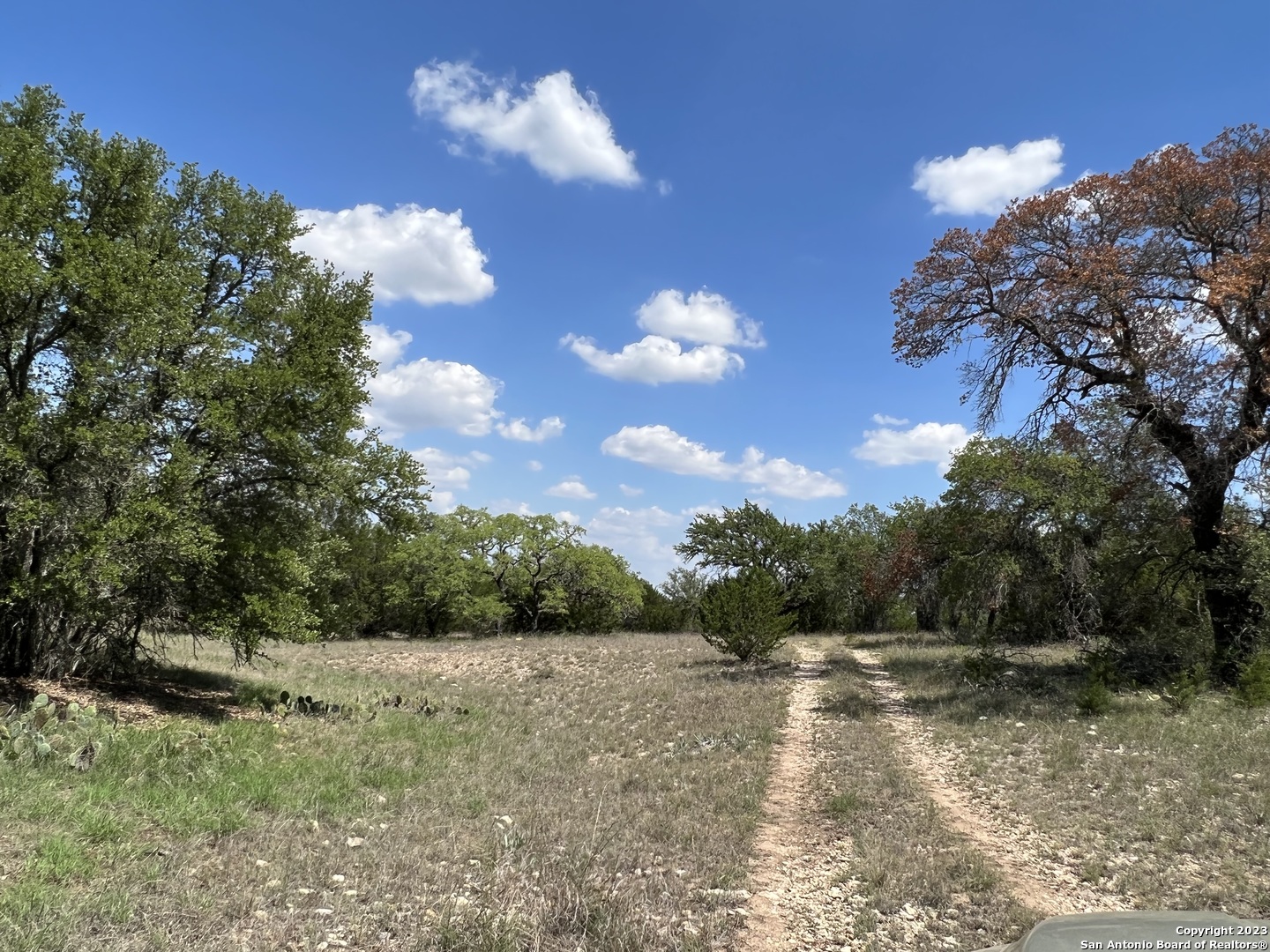 000 Fm 573 Mullin TX 76864