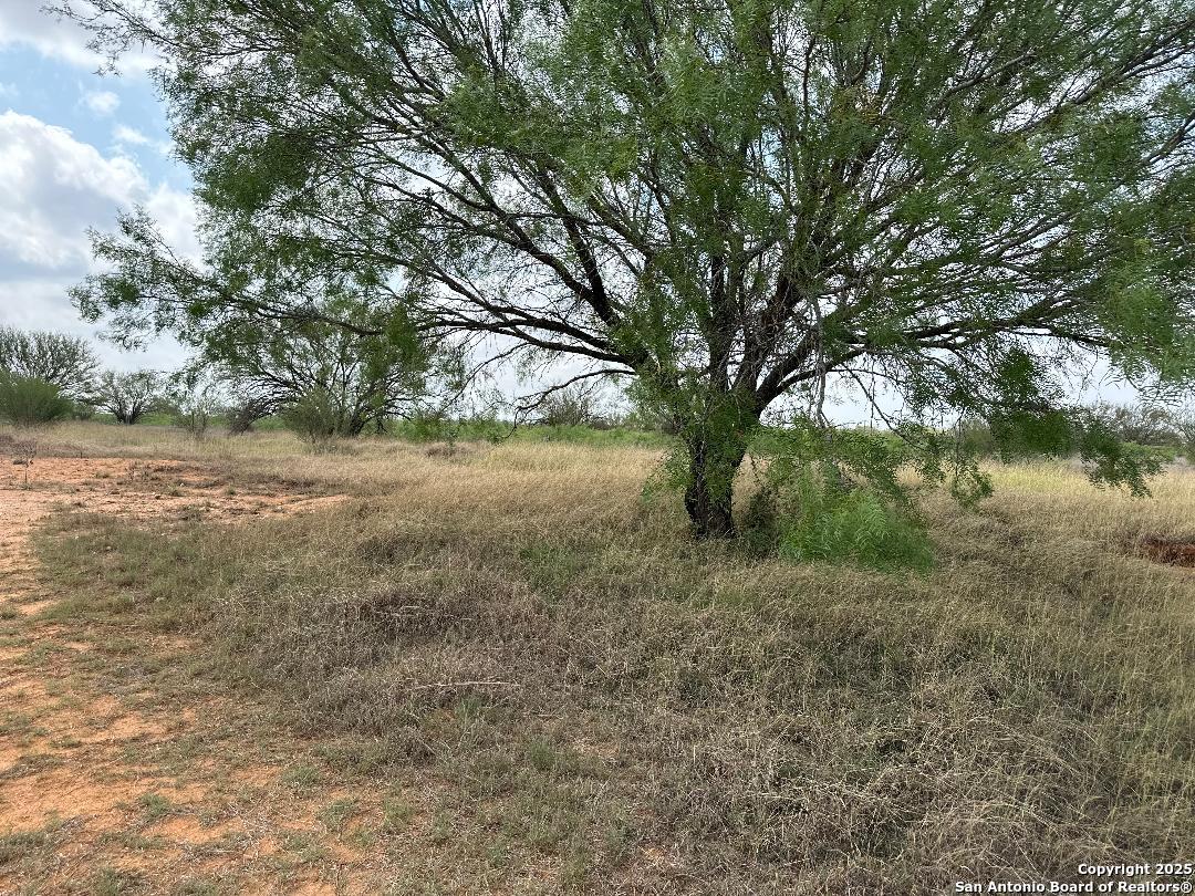 Tbd Cr 3700 Dilley TX 78017