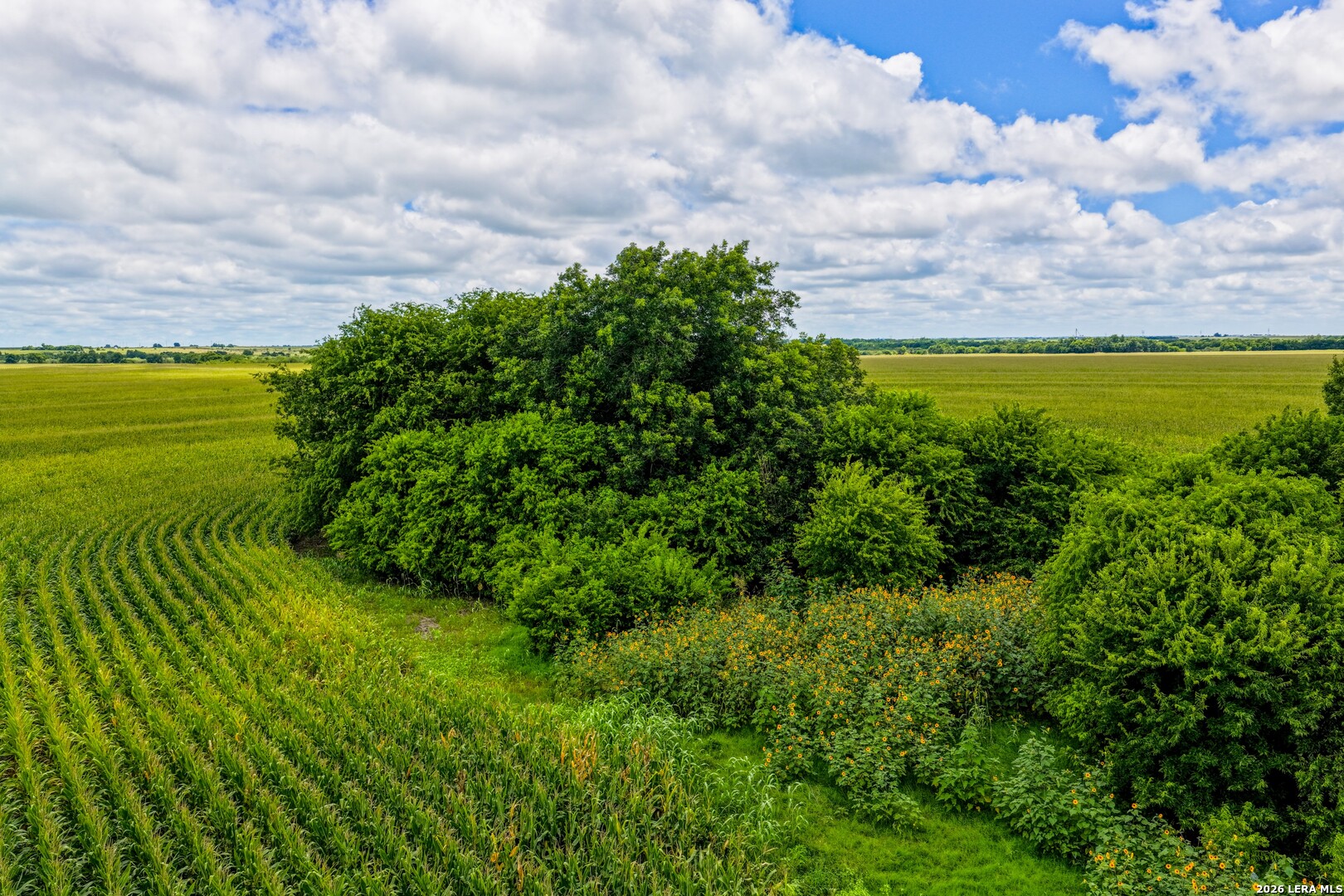 000 W County Road 301 Bartlett TX 76511