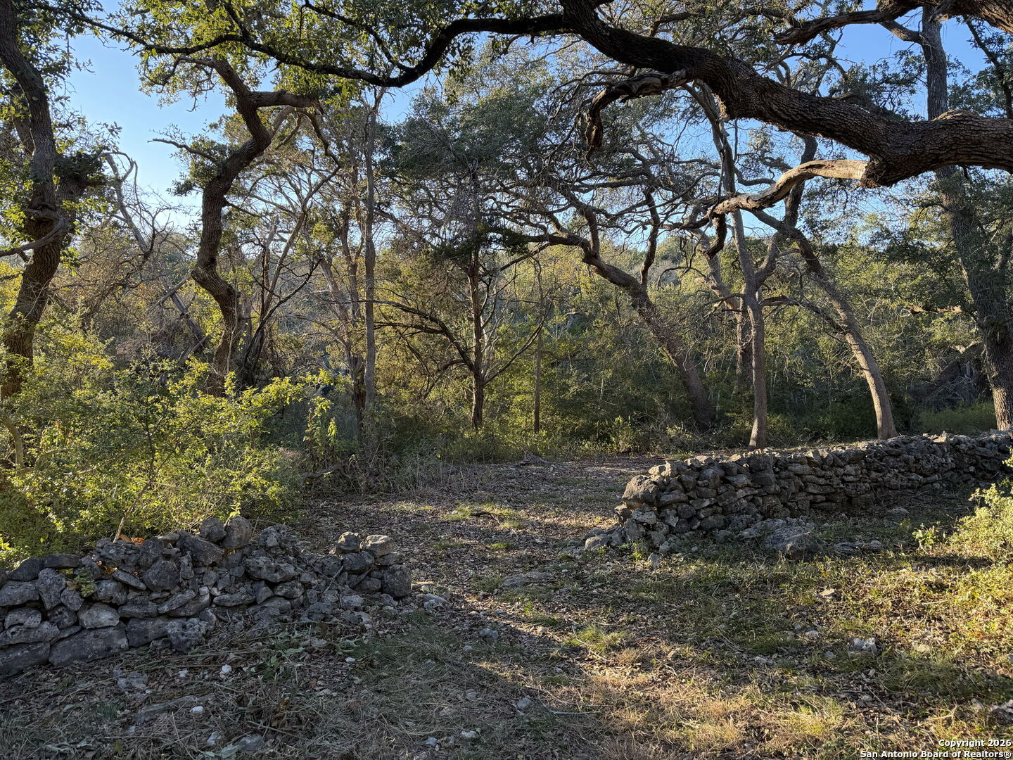 1041 Homestead Ridge New Braunfels TX 78132