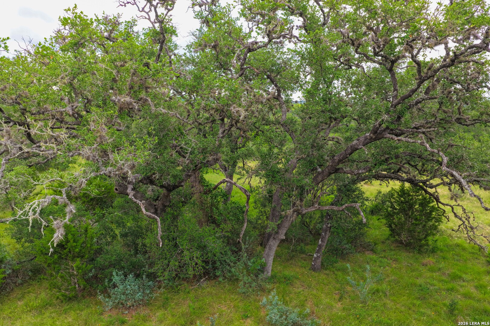 30 Acres +/- Peaceful Valley Road Bandera TX 78003