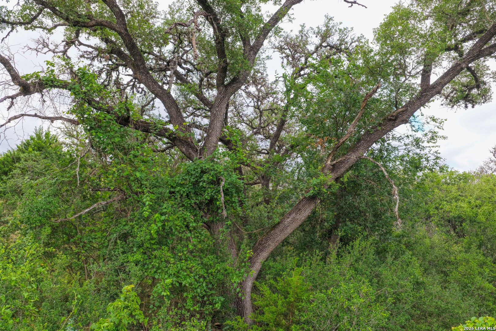 30 Acres +/- Peaceful Valley Road Bandera TX 78003