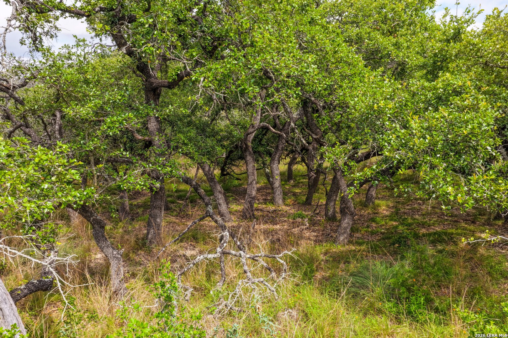 30 Acres +/- Peaceful Valley Road Bandera TX 78003