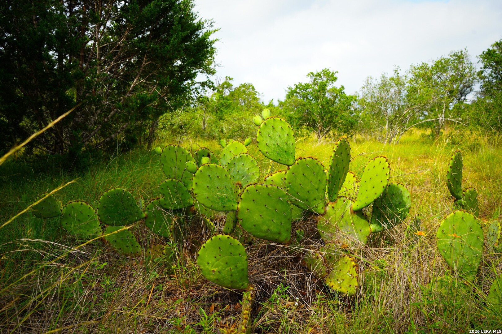 30 Acres +/- Peaceful Valley Road Bandera TX 78003
