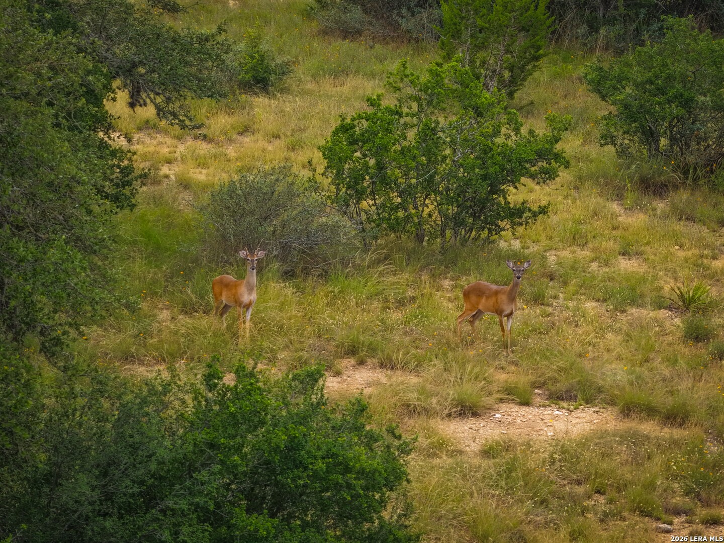 30 Acres +/- Peaceful Valley Road Bandera TX 78003