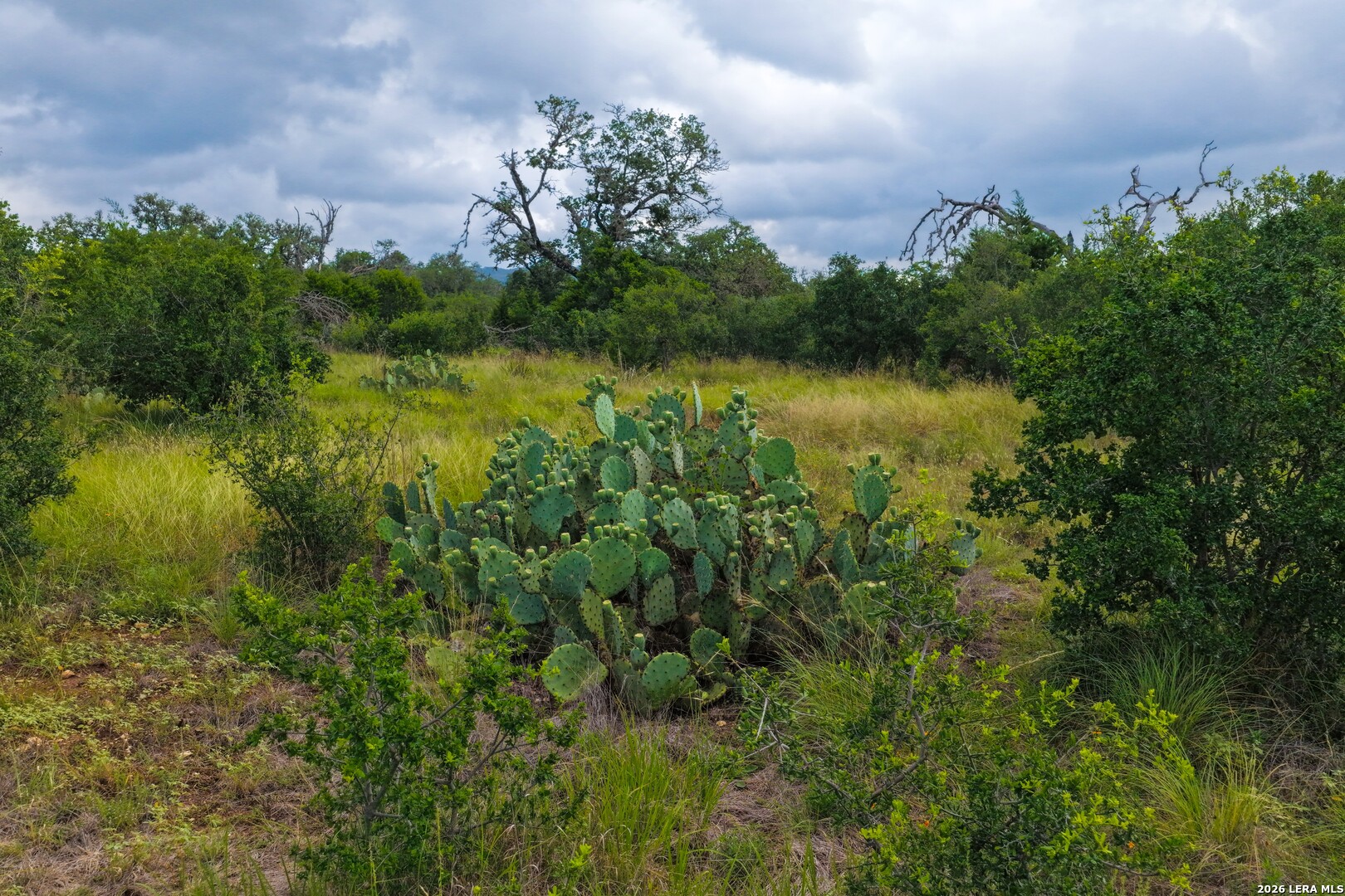 30 Acres +/- Peaceful Valley Road Bandera TX 78003