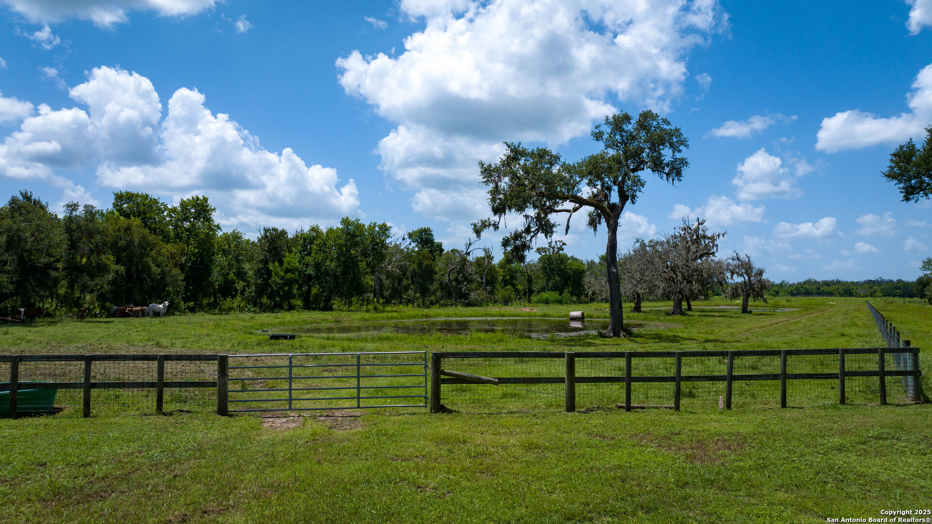 4799 County Road 652 Brazoria TX 77422