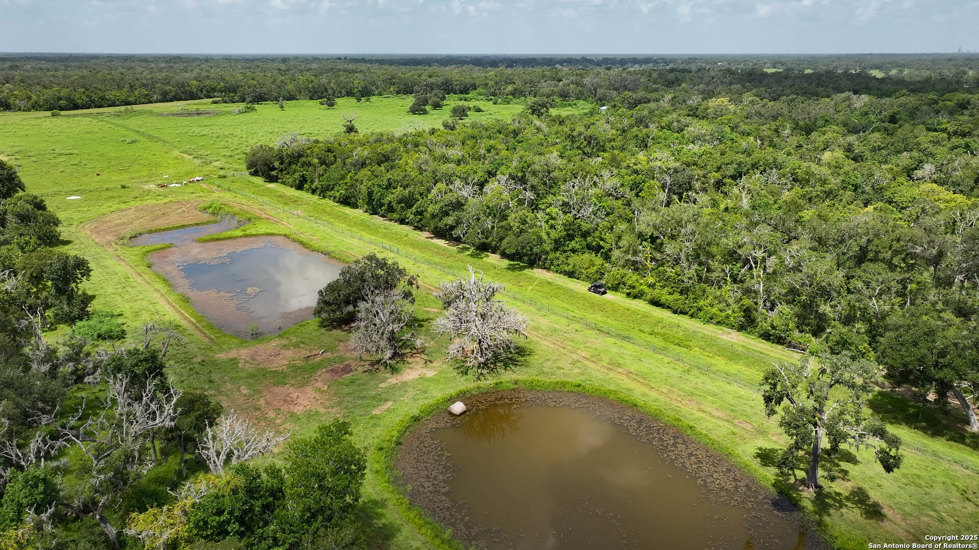 4799 County Road 652 Brazoria TX 77422