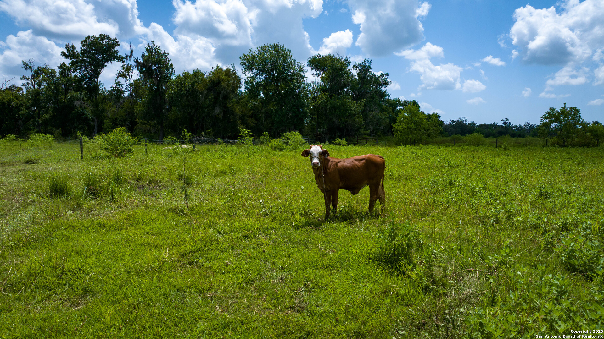 4799 County Road 652 Brazoria TX 77422