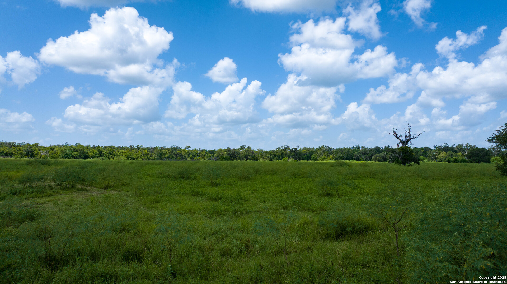 4799 County Road 652 Brazoria TX 77422