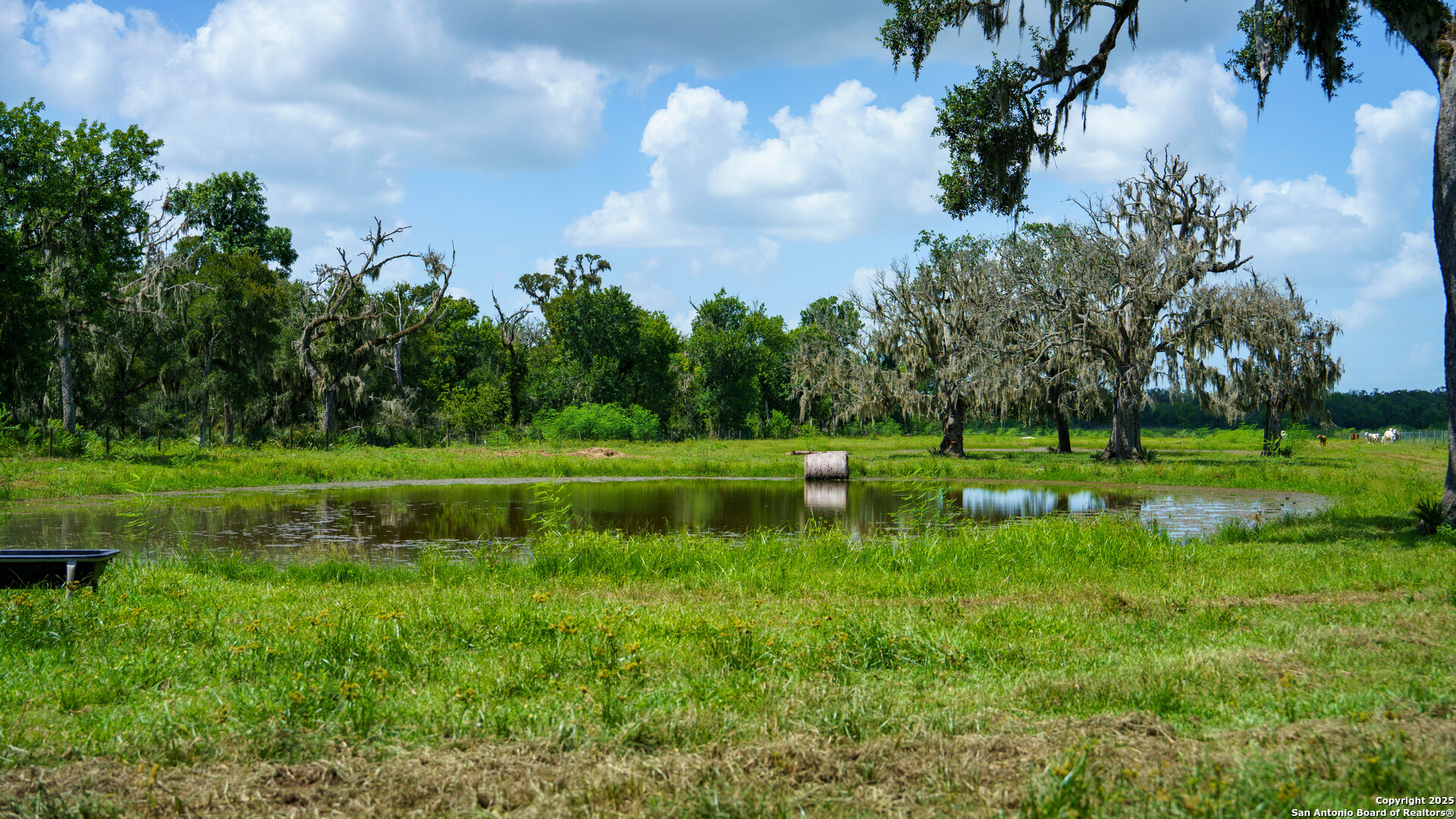 4799 County Road 652 Brazoria TX 77422