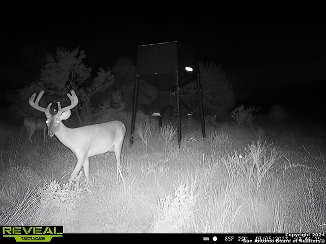 7507 New Sulphur Springs San Antonio TX 78263