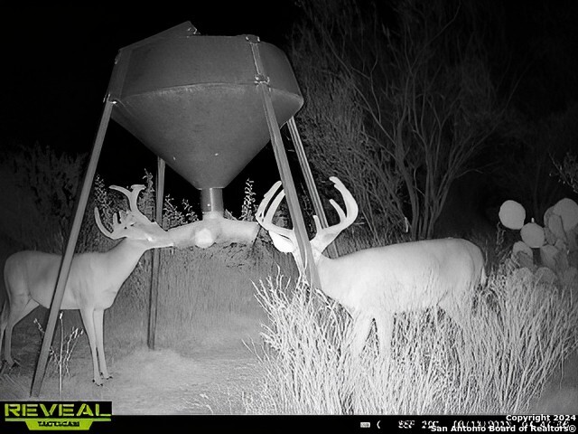 7507 New Sulphur Springs San Antonio TX 78263