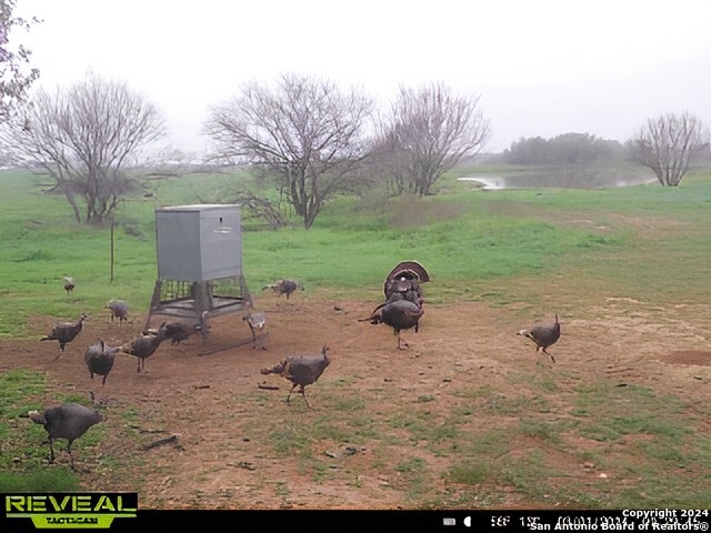 7507 New Sulphur Springs San Antonio TX 78263