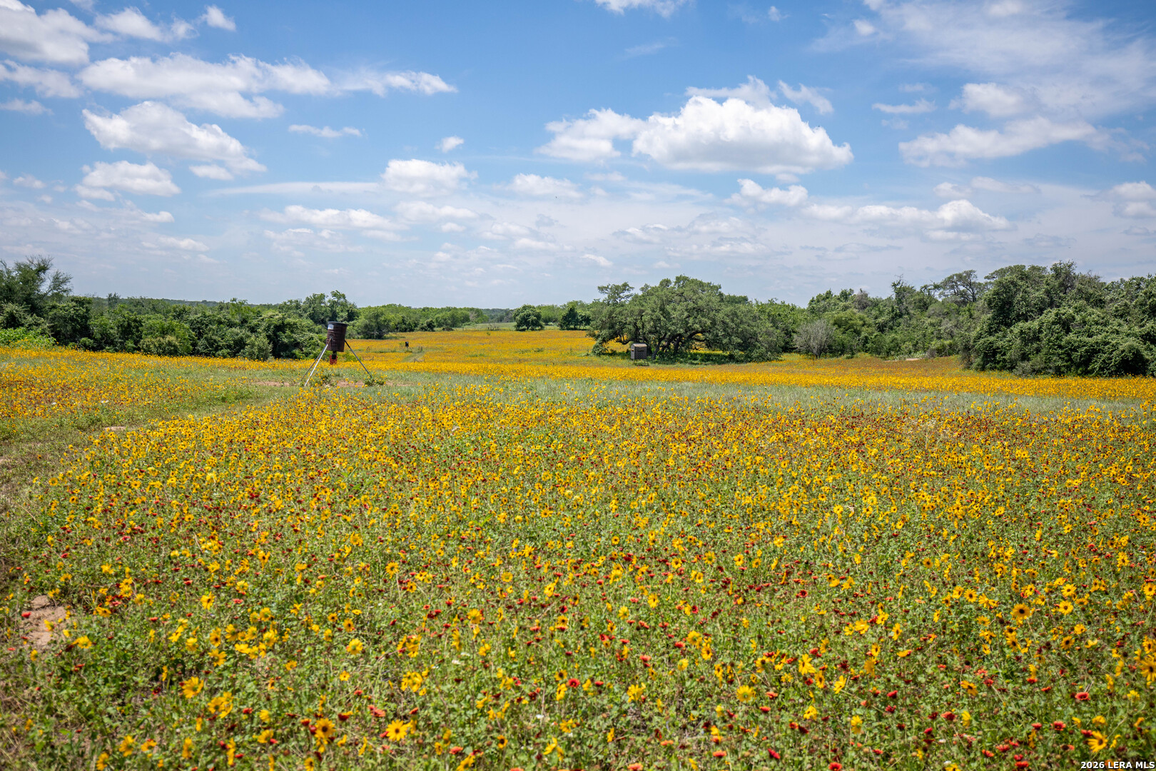 9393 E Us Highway 87 Westhoff TX 77994
