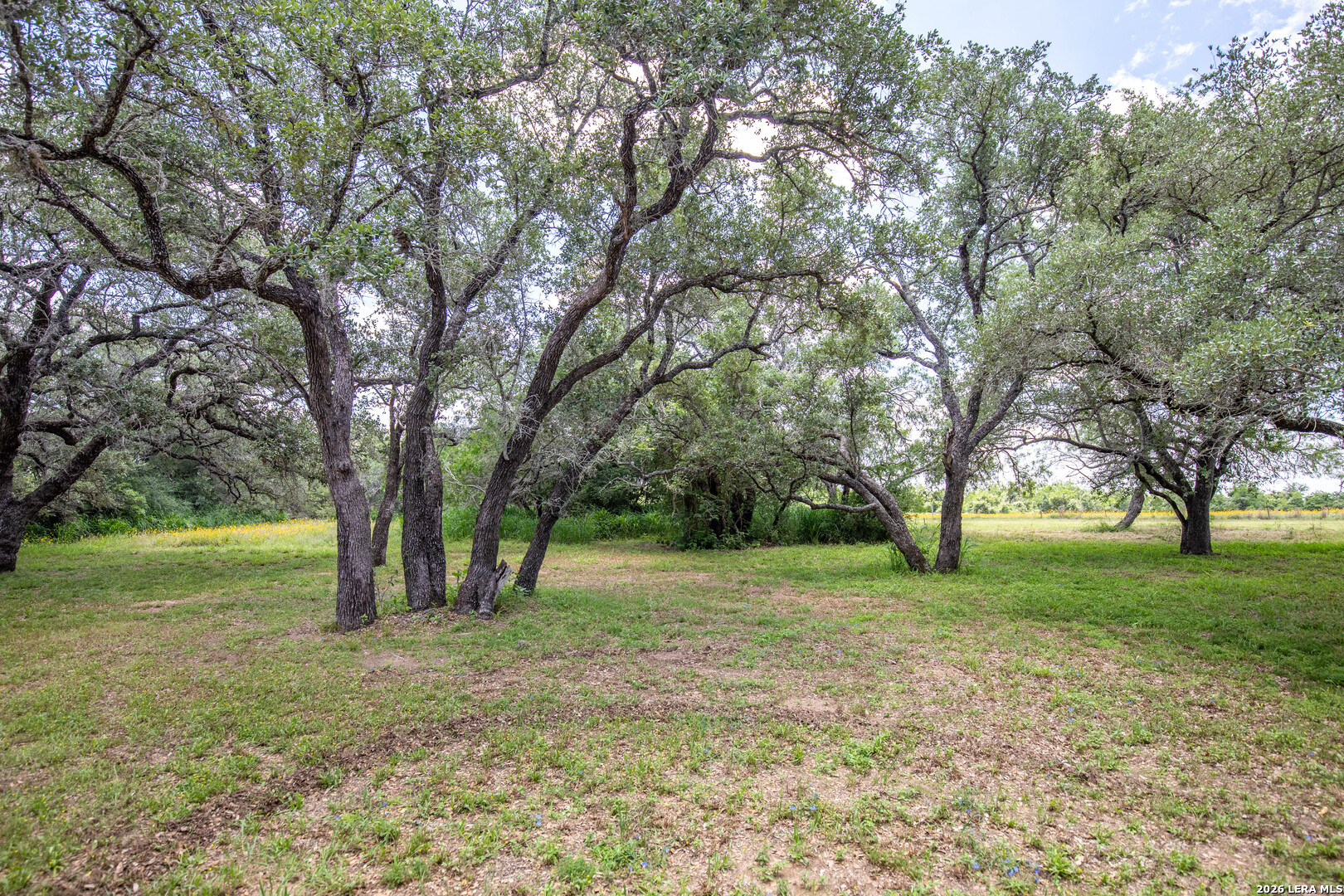9393 E Us Highway 87 Westhoff TX 77994
