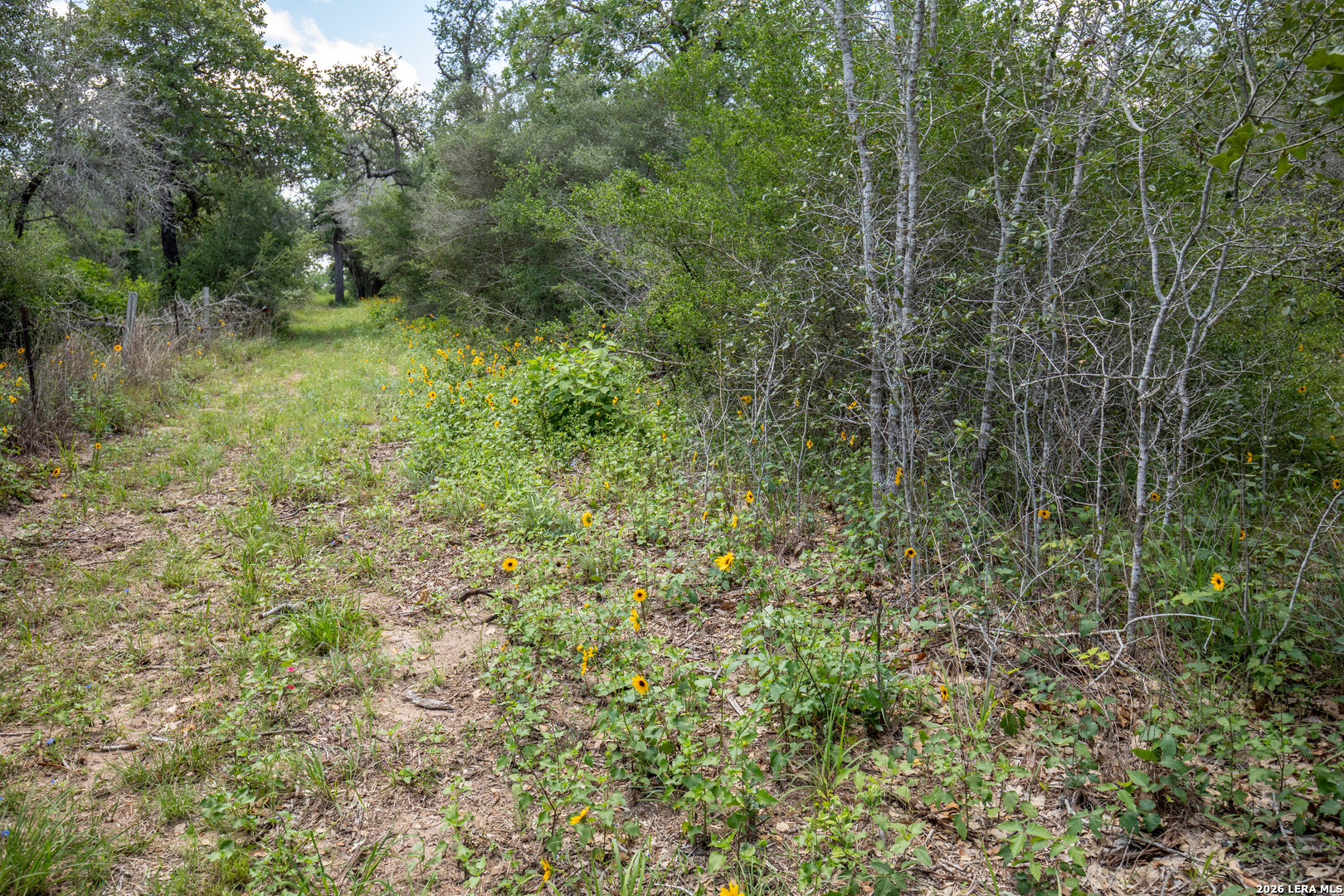 9393 E Us Highway 87 Westhoff TX 77994