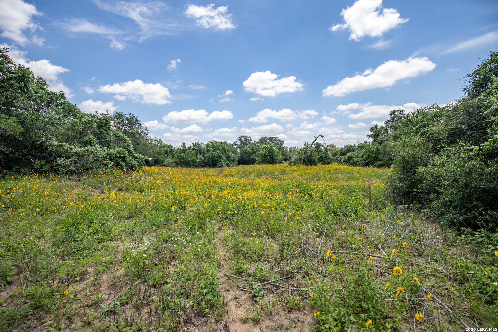 9393 E Us Highway 87 Westhoff TX 77994