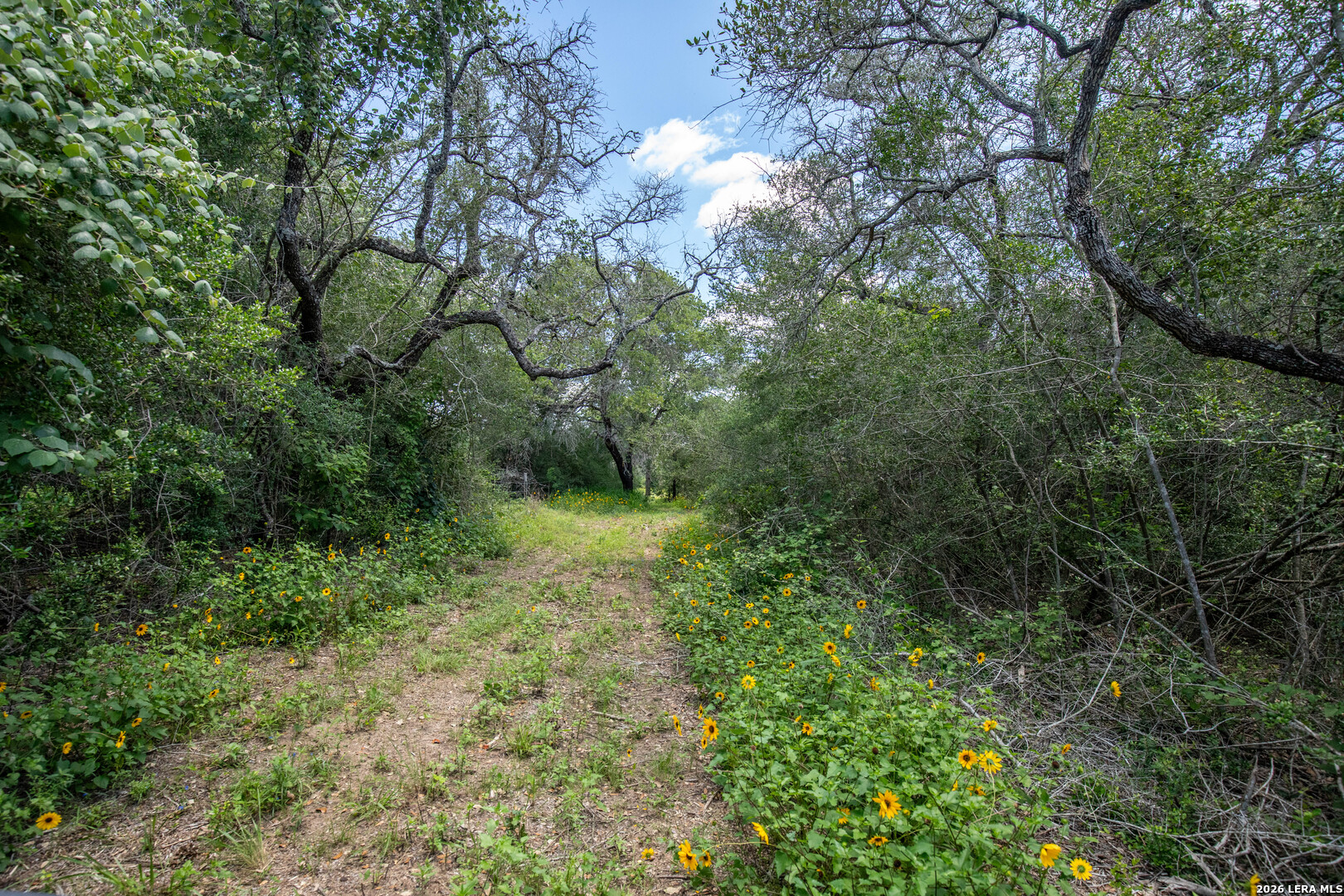 9393 E Us Highway 87 Westhoff TX 77994