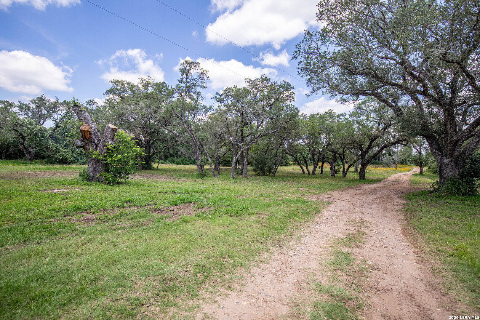 9393 E Us Highway 87 Westhoff TX 77994