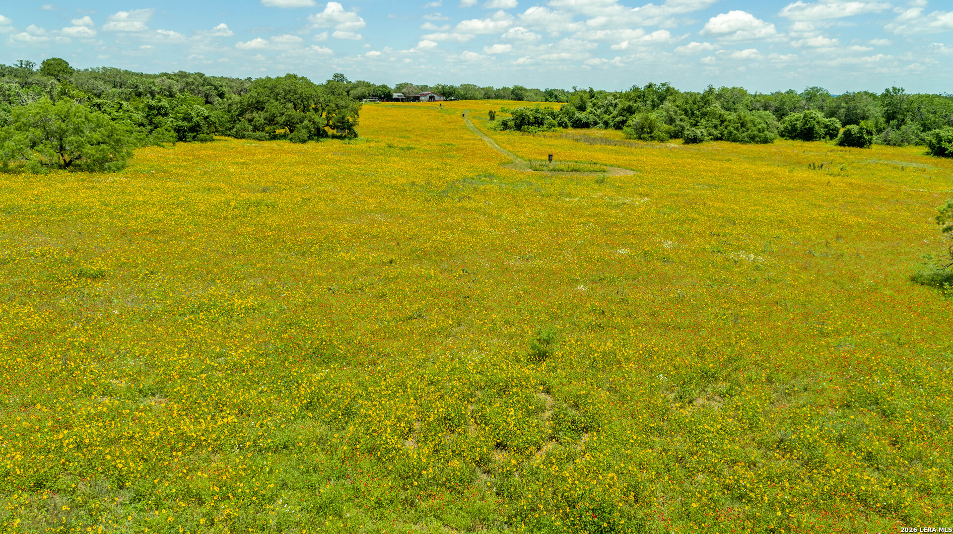 9393 E Us Highway 87 Westhoff TX 77994